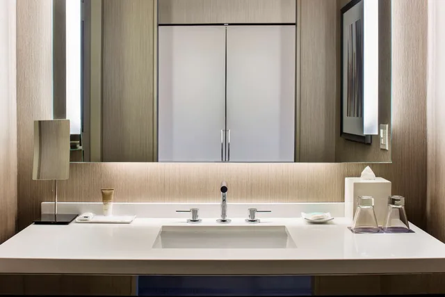 غرفة بسرير كوين وسرير مزدوج لذوي الإعاقة، Hyatt Regency Mccormick Place 7/7