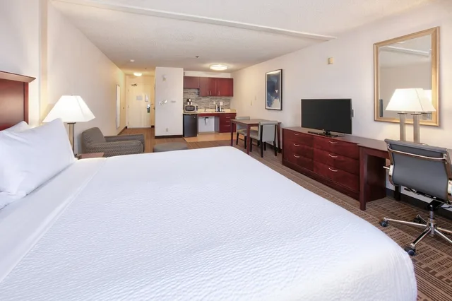 غرفة بريميوم بسرير كينج لذوي الإعاقة، Holiday Inn Hotel And Suites 1/4