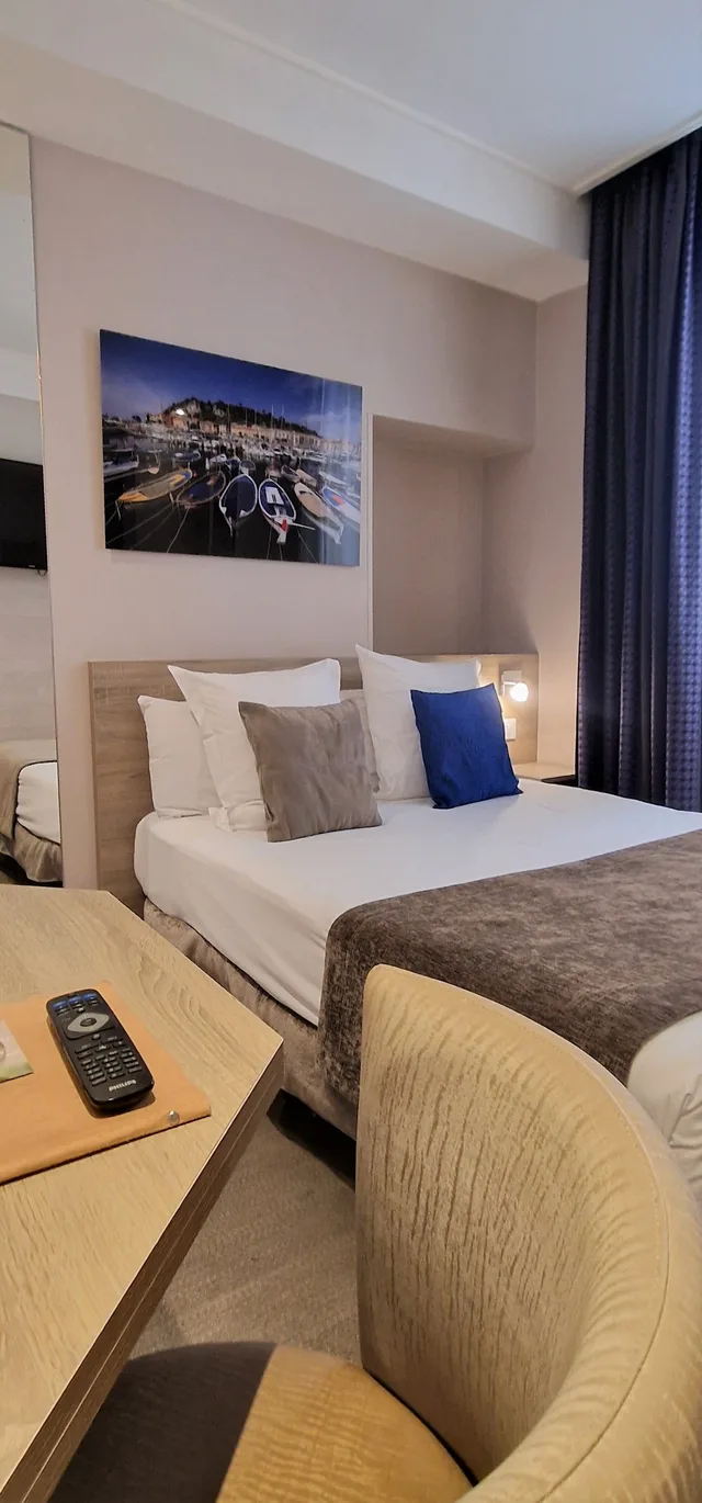 غرفة قياسية مفردة بسرير مزدوج، Hotel de la Fontaine 1/2