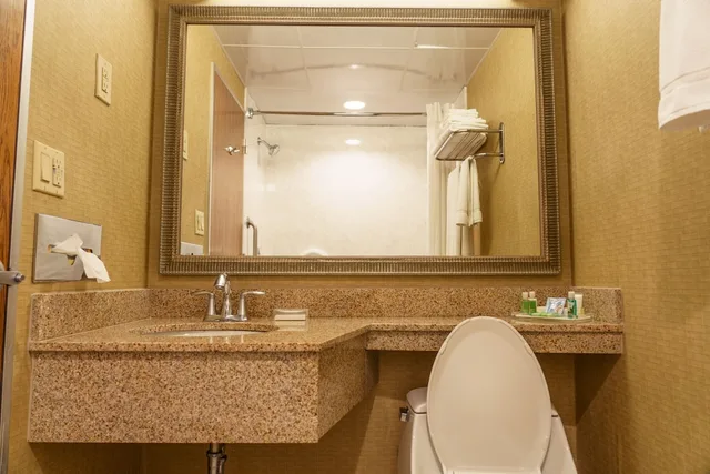 غرفة بريميوم بسرير كينج بإطلالة على المدينة، Holiday Inn New Orleans - Downtown Superdome 6/8