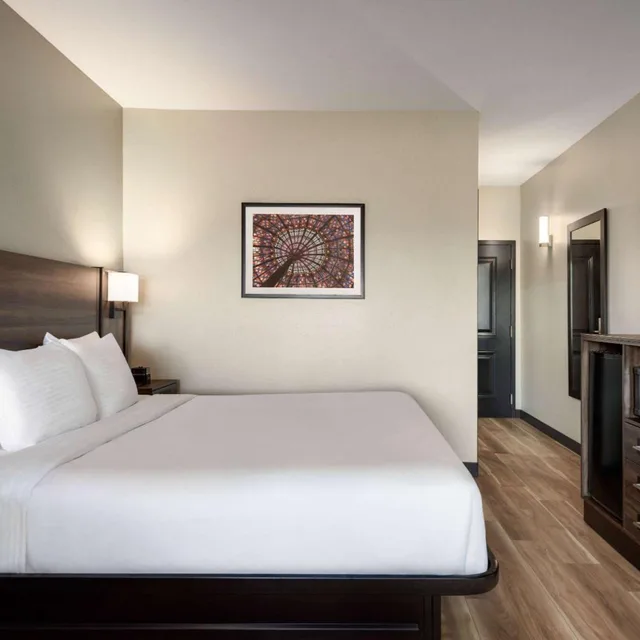 غرفة بسرير كينج بحوض استحمام لذوي الإعاقة، Holiday Inn Laval Montreal 1/10