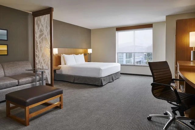 Room, King Bed, Sofa, Accessible, Hyatt Place Wilmington Riverfront 4/5