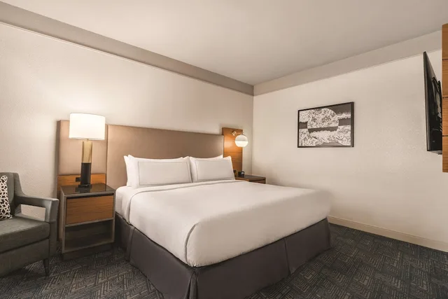 جناح بسرير كينج بشرفة لذوي الإعاقة، Doubletree By Hilton Tampa Rocky Point Waterfront 3/7