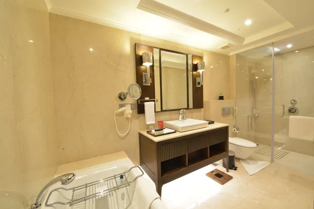 جناح، Ramada Plaza by Wyndham Chennai 1/1