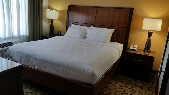 جناح ديلوكس بسرير كينج بمطبخ، Hilton Garden Inn Olathe Ks 1/3