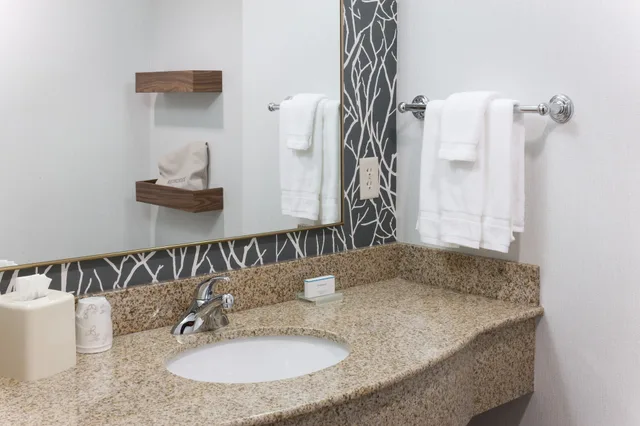 Evolution, King Bed، Hilton Garden Inn Austin North 5/8