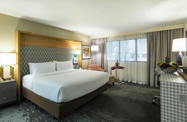 Premium, King Bed, Holiday Inn & Suites Chicago North Shore (Skokie) 1/6