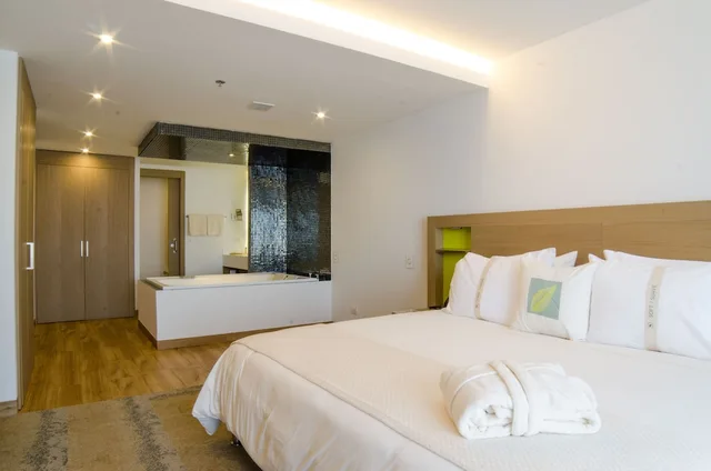 Master, Suite, King Bed, Sofa, Biohotel Organic Suites 2/10