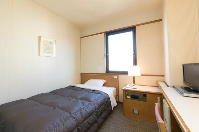 غرفة مفردة، Gifu Washington Hotel Plaza 1/3