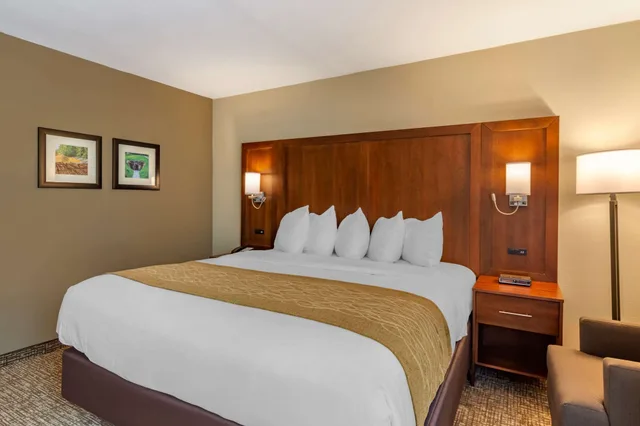 غرفة قياسية بسرير كينج، Comfort Inn Petersburg Fort Lee Area 6/10