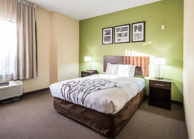 Standard, Queen Bed, Sleep Inn & Suites Bakersfield North 1/4