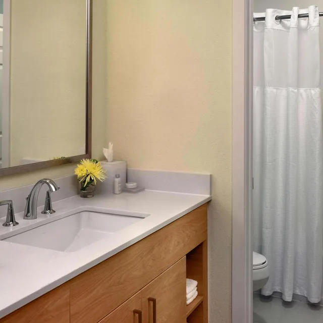 جناح بسرير كينج بغرفة نوم واحدة مع أريكة، Sonesta Es Suites Gwinnett Place Atlanta 2/2