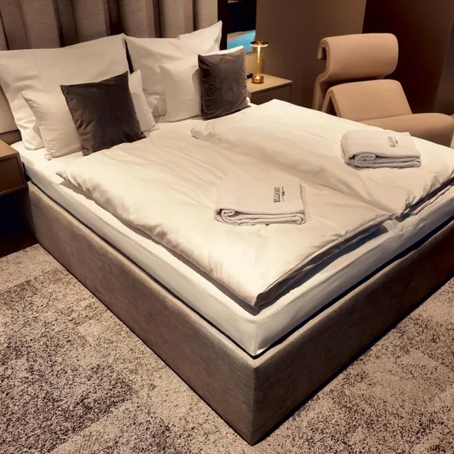 Suite, Sofa, Sauna, Bellman Hotel 1/8