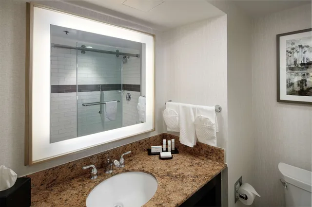 غرفة بسرير كينج مع أريكة لذوي الإعاقة، Embassy Suites Tysons Corner 2/4