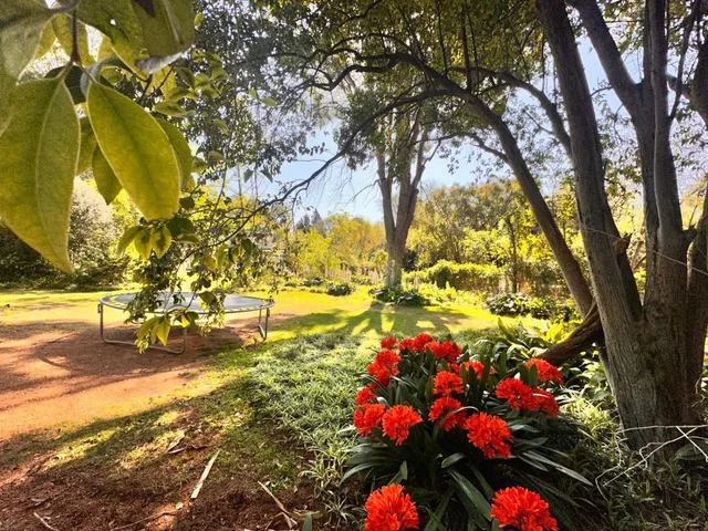 Haldon Estates، بلومفونتين 54/69
