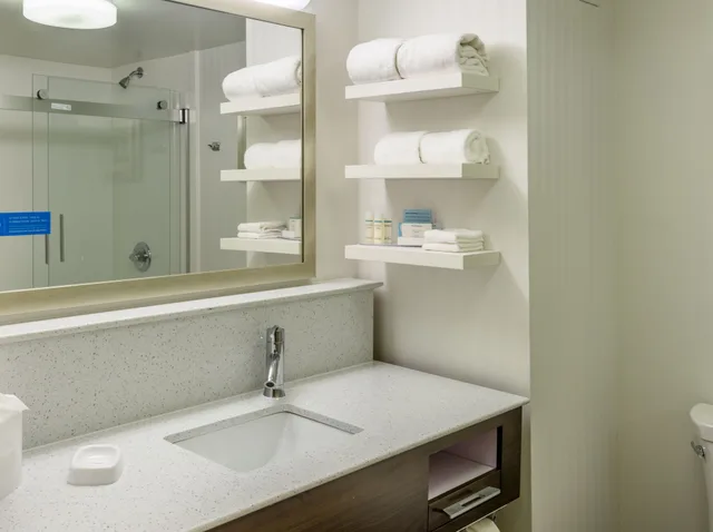 جناح استوديو بسرير كينج مع أريكة، Hampton Inn & Suites Jackson Downtown-Coliseum 1/1