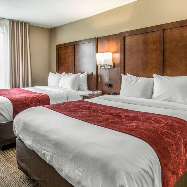 جناح بسرير كوين مع أريكة، Comfort Suites Dunnellon near Rainbow Springs 1/10