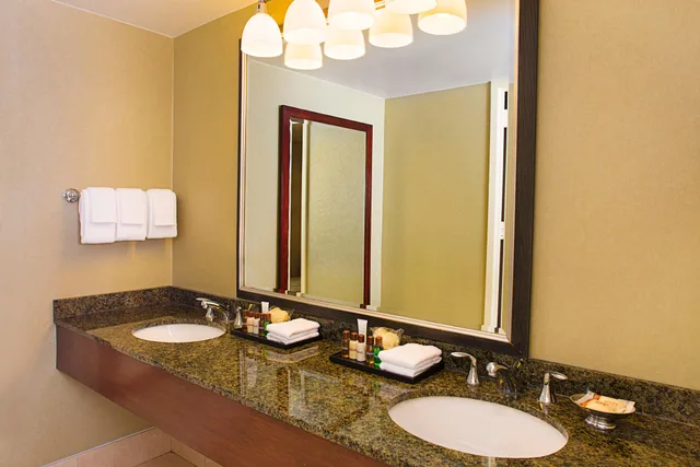 غرفة قياسية بسرير مزدوج، Sheraton Philadelphia Downtown 4/4