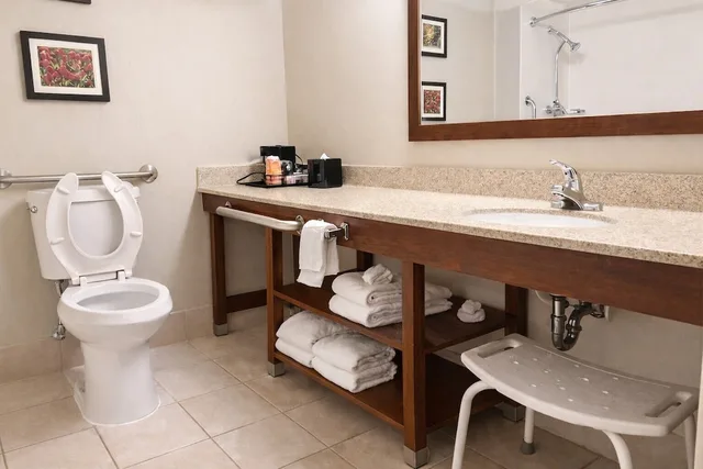 جناح بسرير كوين مع أريكة لذوي الإعاقة، Comfort Inn Farmington Hills - Detroit Northwest 3/5