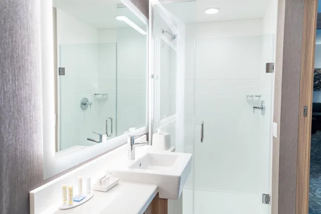 جناح بسريرين كوين مع سرير سحّاب إضافي مع أريكة لذوي الإعاقة، SpringHill Suites by Marriott Overland Park Leawood 4/4