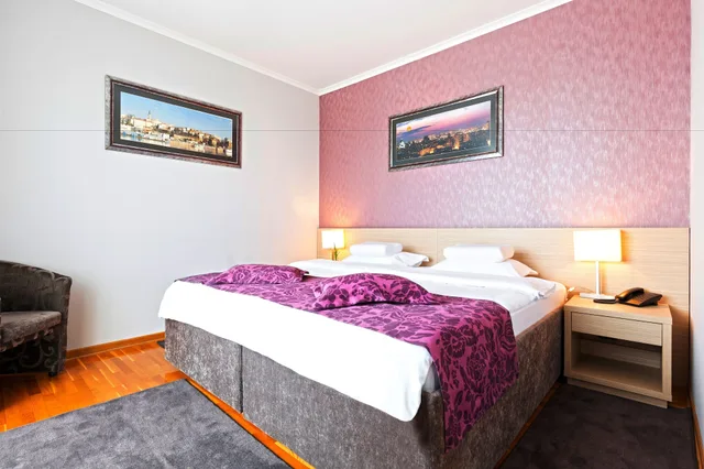 Junior Suite, Double Bed, Nevski 3/8