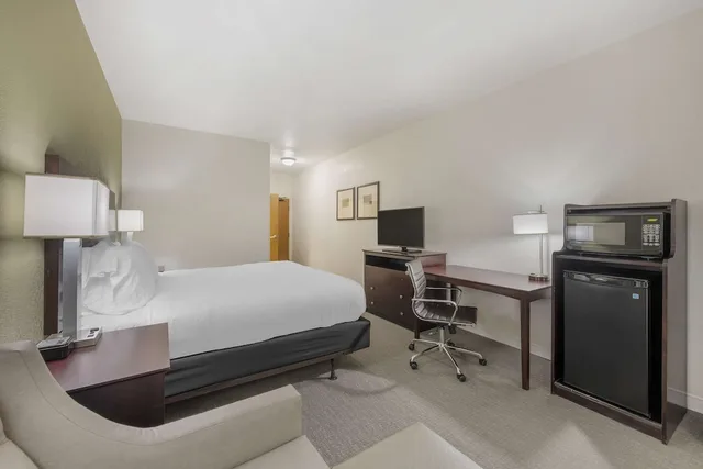 غرفة قياسية بسرير كينج، Best Western Celina 3/7
