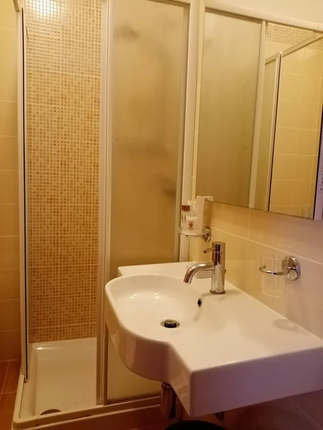 غرفة بسرير مزدوج أو سريرين منفصلين، American Hotel 9/10