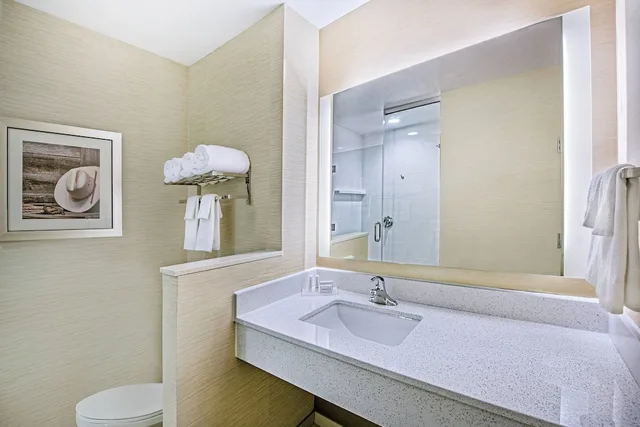غرفة بسرير كينج لذوي الإعاقة، Fairfield Inn And Suites Van Canton Area 2/3