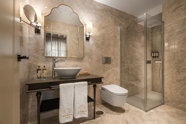 غرفة بريميوم بسرير مزدوج، Aurea Casa Palacio Sagasta 4/5