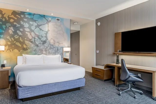 Room, King Bed, Sofa, Accessible, Courtyard by Marriott Asheville Biltmore Village 4/5