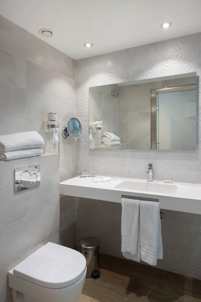 غرفة بريميوم مفردة بسرير مزدوج، Catalonia Albeniz Hotel 6/8