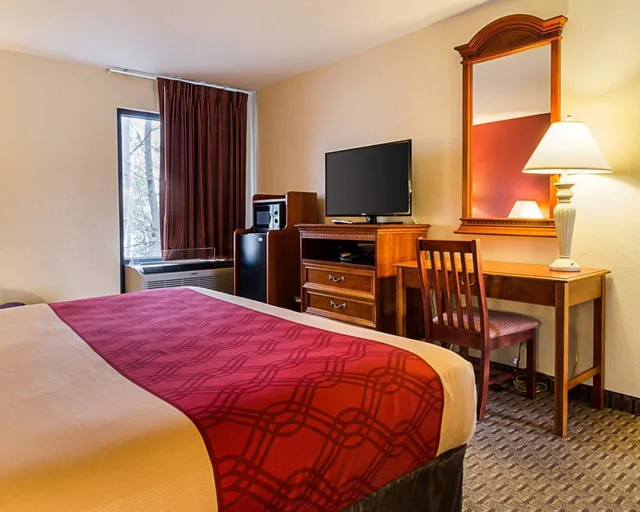 غرفة قياسية بسرير كينج للمدخنين، Econo Lodge Richmond North 4/4