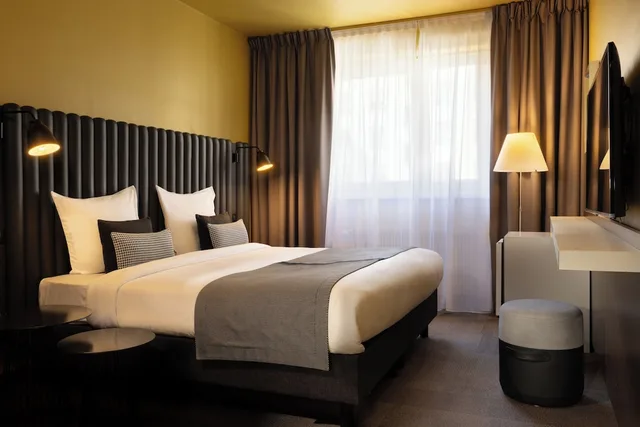 غرفة ديلوكس بسرير مزدوج، Hotel Diana Dauphine 1/5