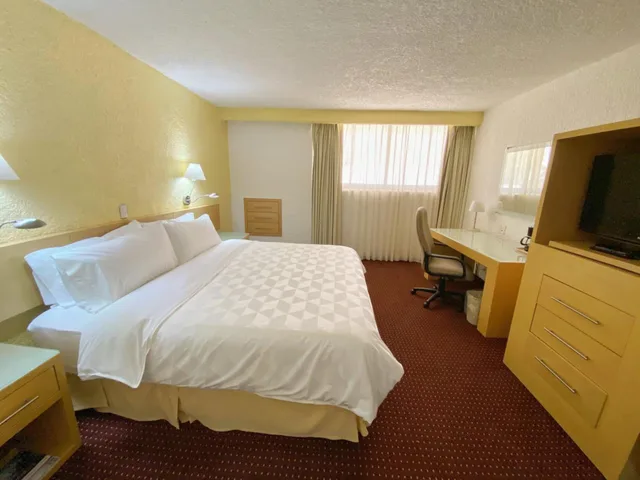 غرفة قياسية بسرير كينج، Holiday Inn Morelia 3/4