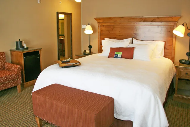 غرفة بسرير كينج مع أريكة لذوي الإعاقة، Hampton Inn & Suites Buffalo 2/4