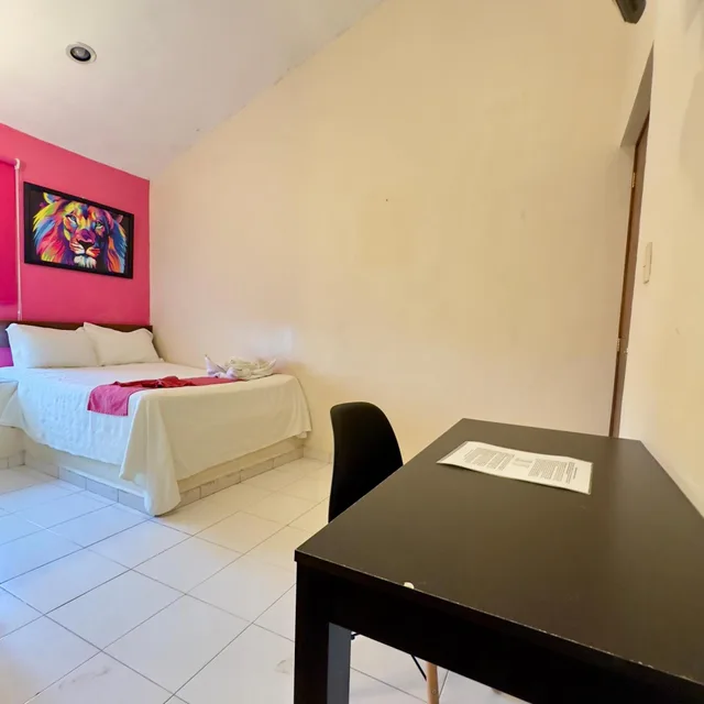 Room, Single, Small, Barranquilla Hotel 10/10