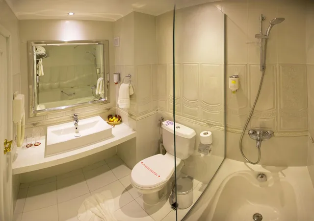 Luxury, Double or Twin Bed, Spa Hotel Rich 4/4