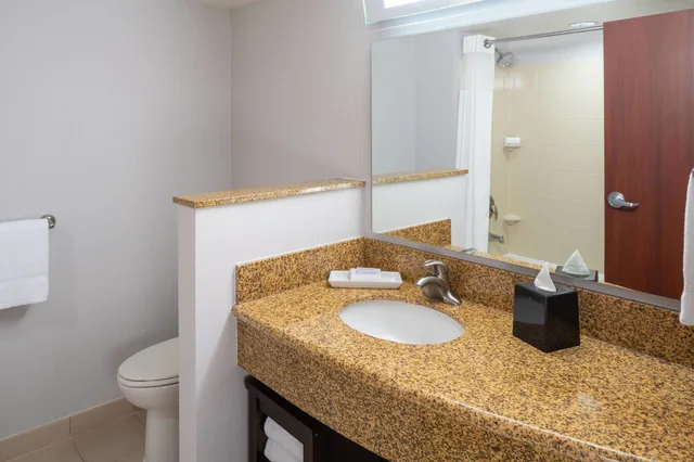 جناح بسرير كينج مع أريكة، Courtyard Miami Airport 5/6