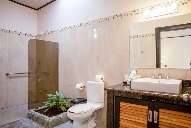 Junior Suite, Superior, King Bed, Arenal Manoa And Hot Springs 2/2