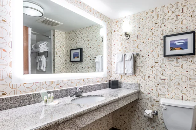 غرفة قياسية بسرير كينج لذوي الإعاقة، Holiday Inn Indianapolis Downtown 3/4