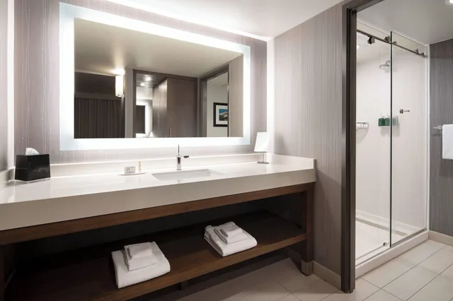 Suite, Lake View, Courtyard By Marriott Seattle Downtown Lake Union 6/6