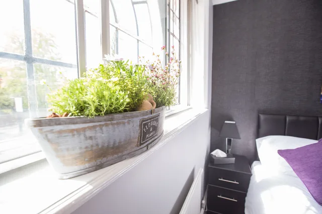 Private, Twin Beds، Verve Hotel 9/9