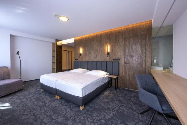 غرفة تنفيذية بسرير كينج، Harmony Club Hotel Ostrava 3/10