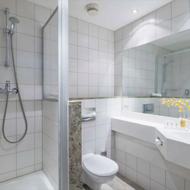 غرفة قياسية بسرير كينج، Best Western Plus Hotel Excelsior 7/10