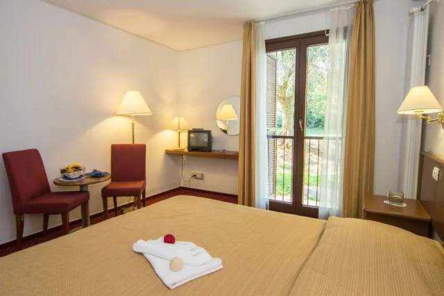 غرفة بسرير مزدوج مع سرير إضافي، Hotel Vile Park 7/10