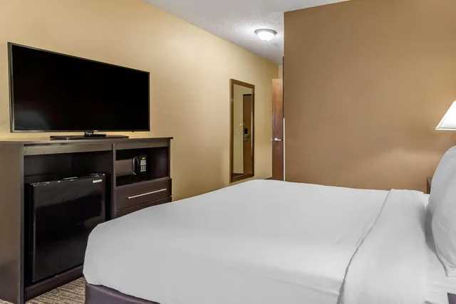 Room, Queen Bed, Comfort Inn & Suites Austin North Loop 1/3