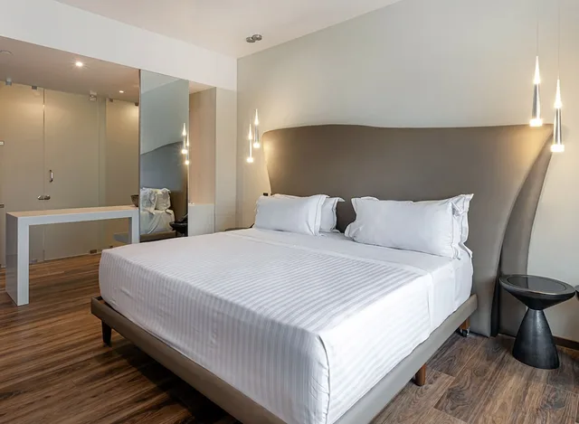 جناح سوبيريور بفراش فوتون وسرير كينج بجاكوزي، Hotel Real del Río 1/2