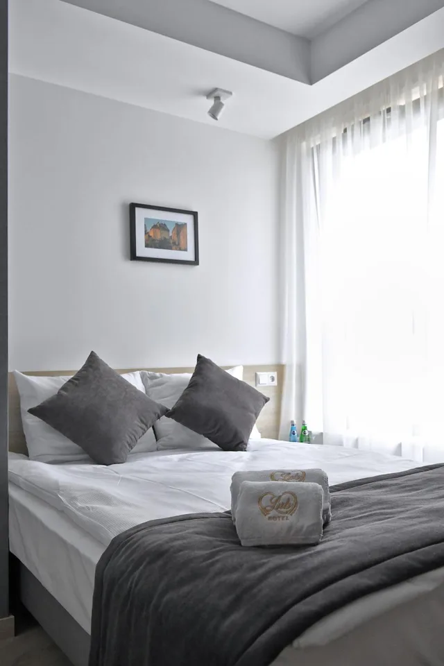 Budget, Single, Lubhotel 2/8