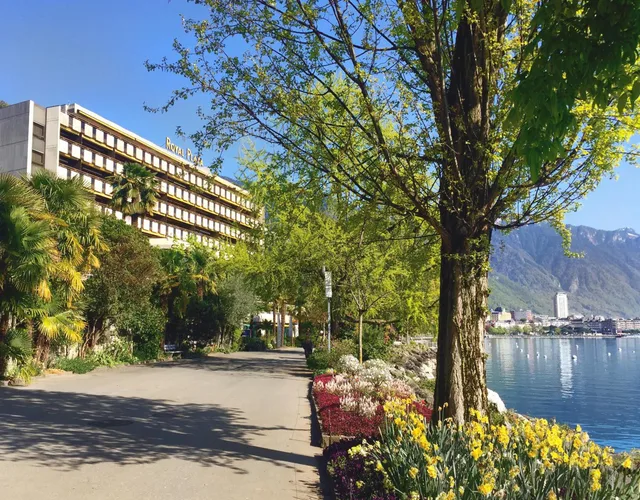 غرفة اقتصادية، Royal Plaza Montreux Hotel 1/1