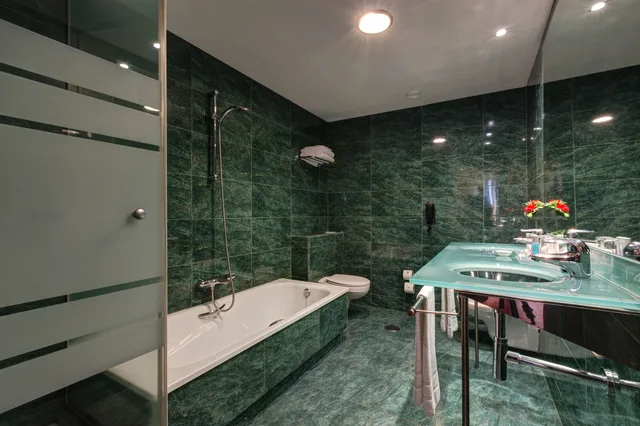 غرفة تنفيذية بسرير مزدوج أو سريرين منفصلين، Acevi Villarroel Hotel 2/2
